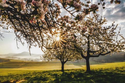 Frühlingssonne HeleneWielandFotografie gigantrischleben